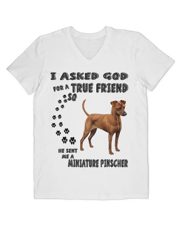 Men's V-Neck T-Shirt
