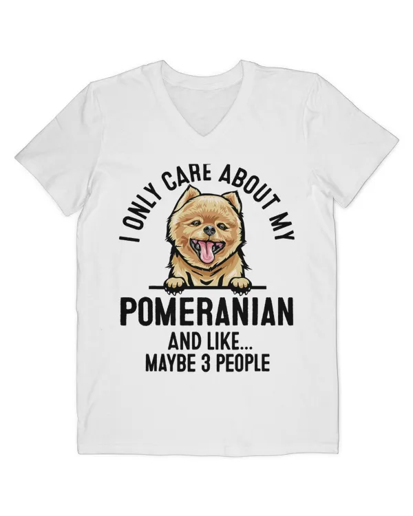 Men's V-Neck T-Shirt