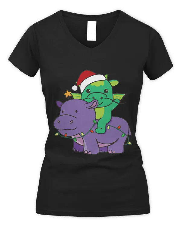 Women's V-Neck T-Shirt