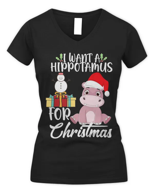 Women's V-Neck T-Shirt