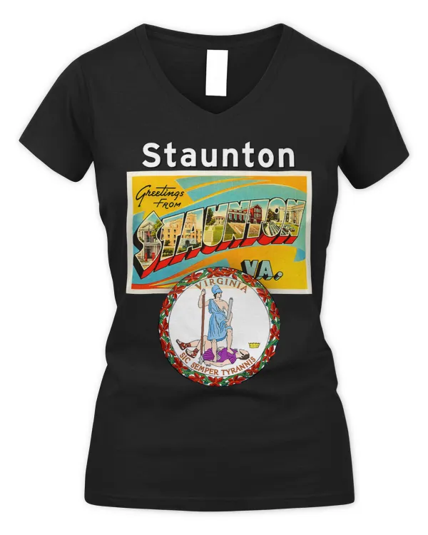 Women's V-Neck T-Shirt