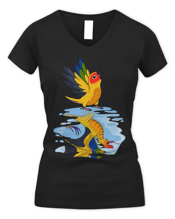 Women's V-Neck T-Shirt