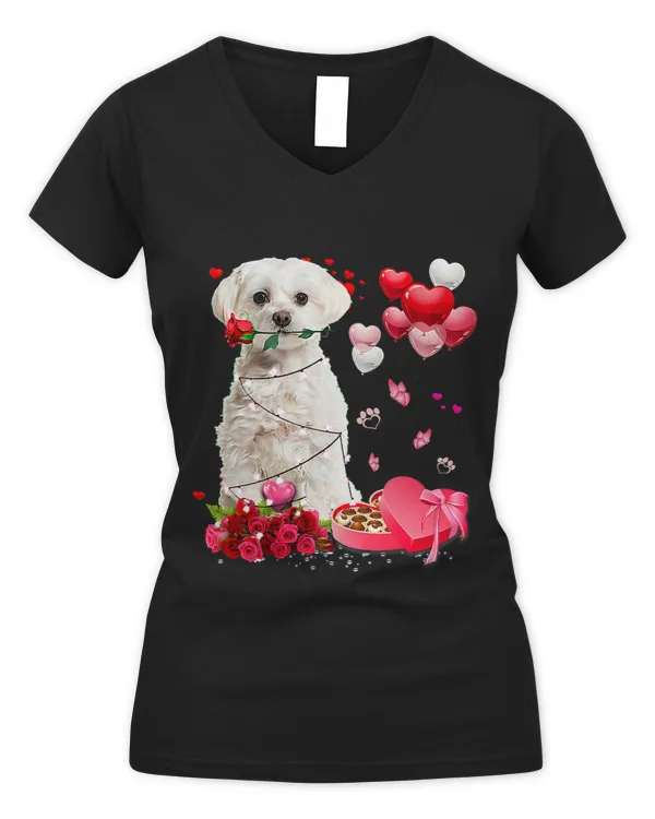 Women's V-Neck T-Shirt