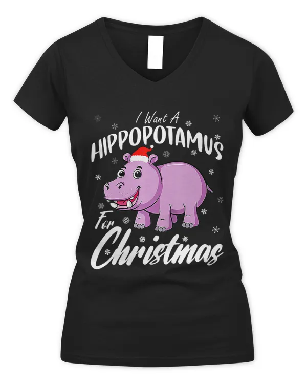 Women's V-Neck T-Shirt