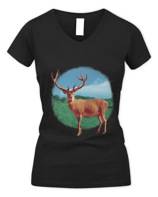 Women's V-Neck T-Shirt