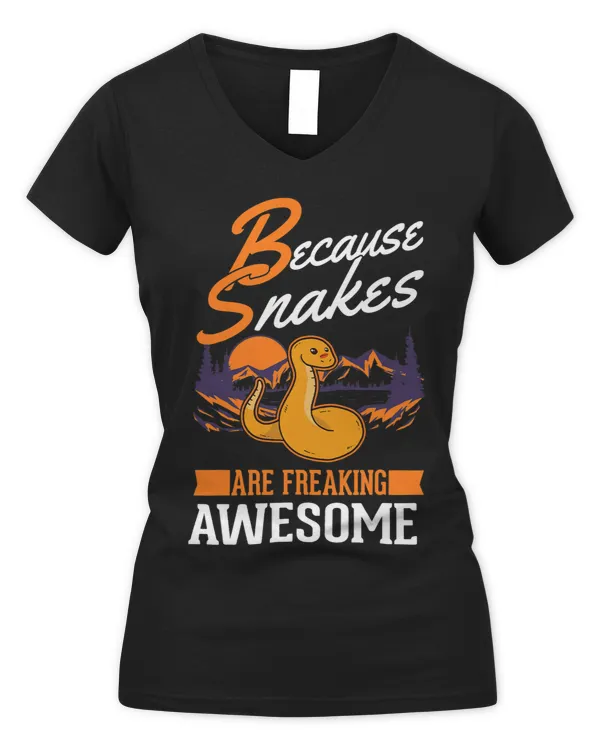 Women's V-Neck T-Shirt