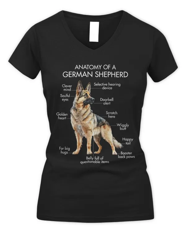 Women's V-Neck T-Shirt