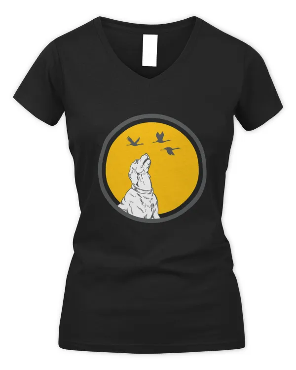 Women's V-Neck T-Shirt