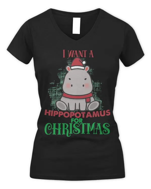 Women's V-Neck T-Shirt