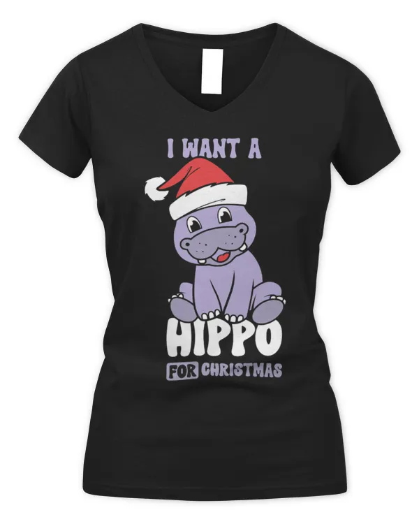 Women's V-Neck T-Shirt