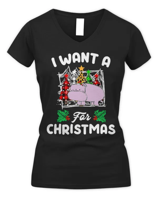 Women's V-Neck T-Shirt
