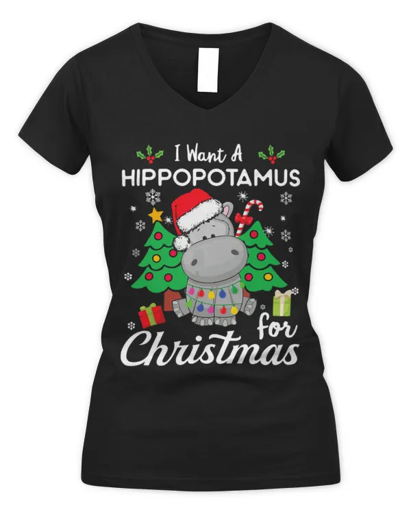 Women's V-Neck T-Shirt