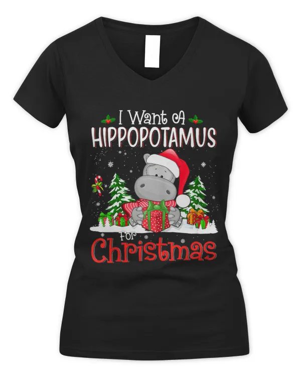 Women's V-Neck T-Shirt