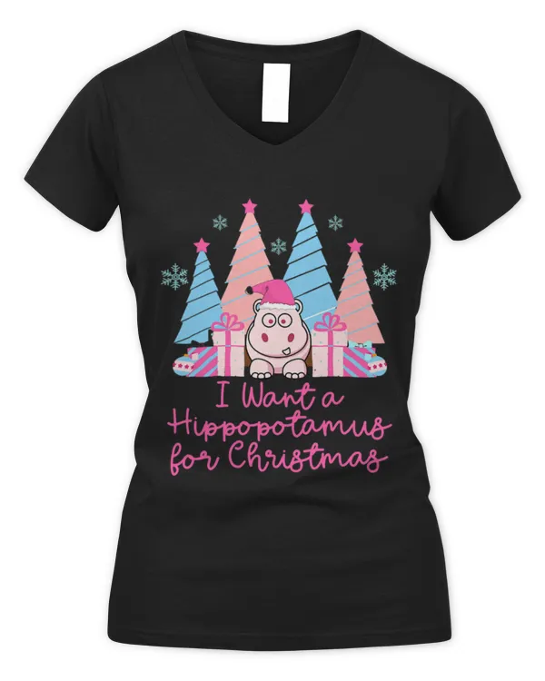 Women's V-Neck T-Shirt