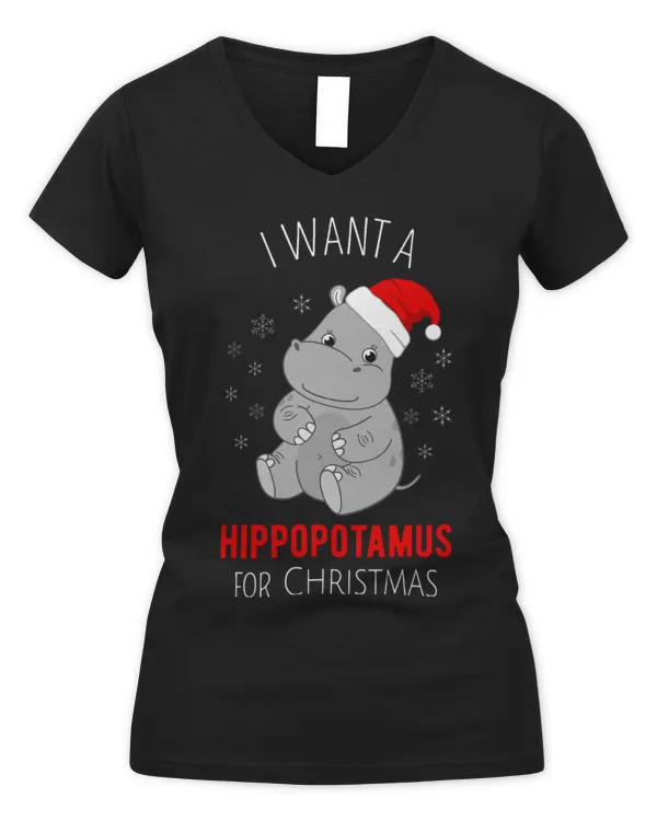 Women's V-Neck T-Shirt
