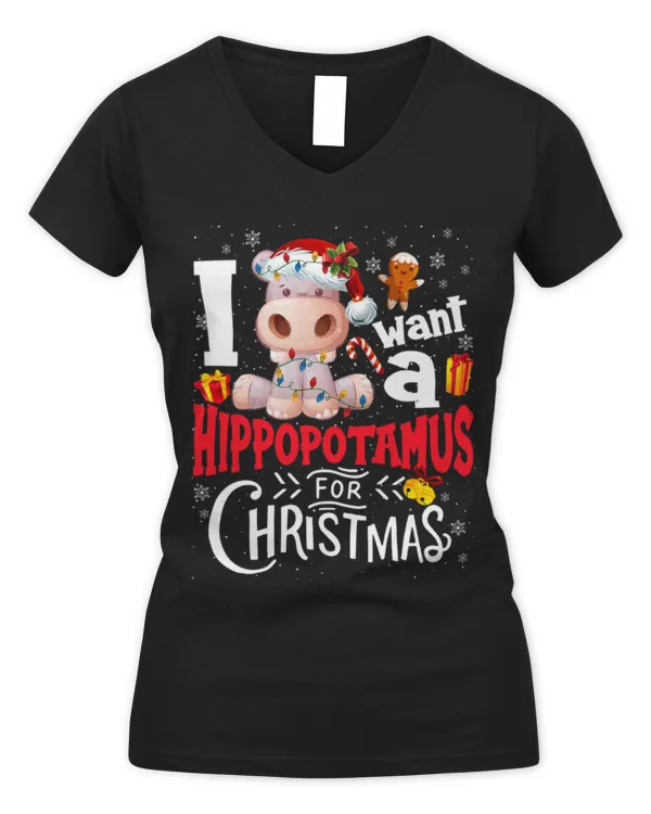 Women's V-Neck T-Shirt