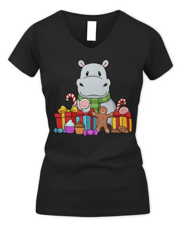 Women's V-Neck T-Shirt