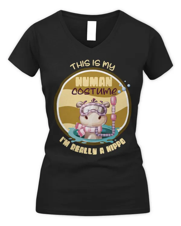 Women's V-Neck T-Shirt