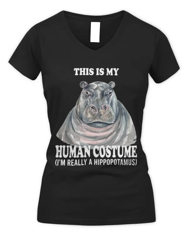 Women's V-Neck T-Shirt