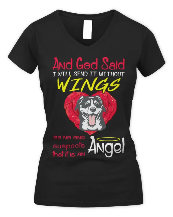 Women's V-Neck T-Shirt