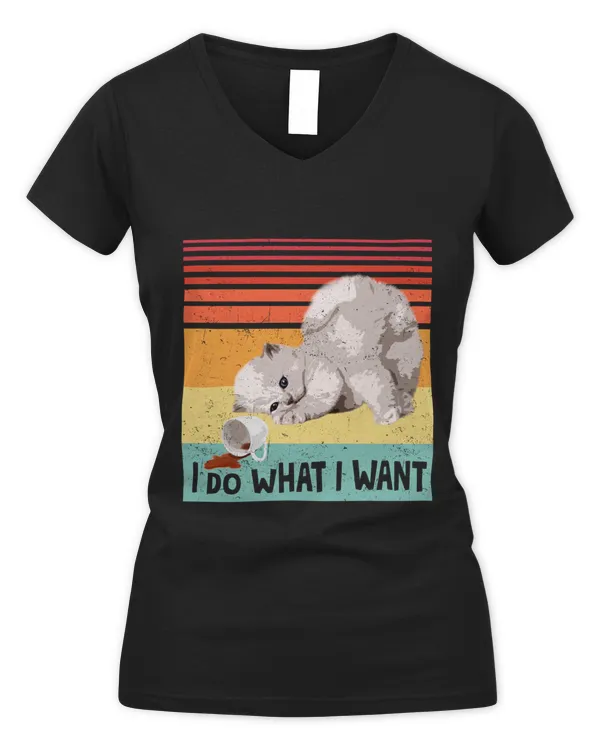 Women's V-Neck T-Shirt
