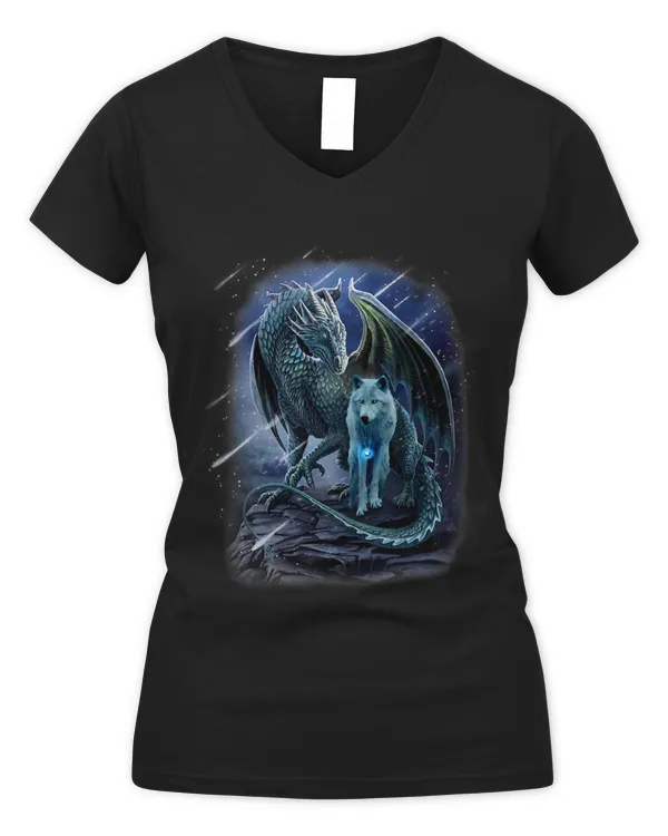 Women's V-Neck T-Shirt