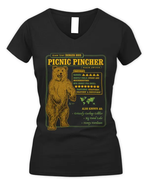 Women's V-Neck T-Shirt
