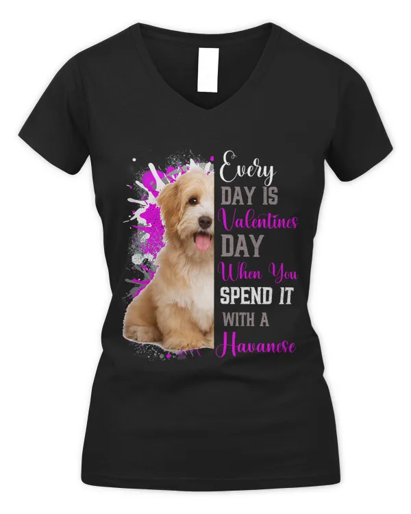 Women's V-Neck T-Shirt
