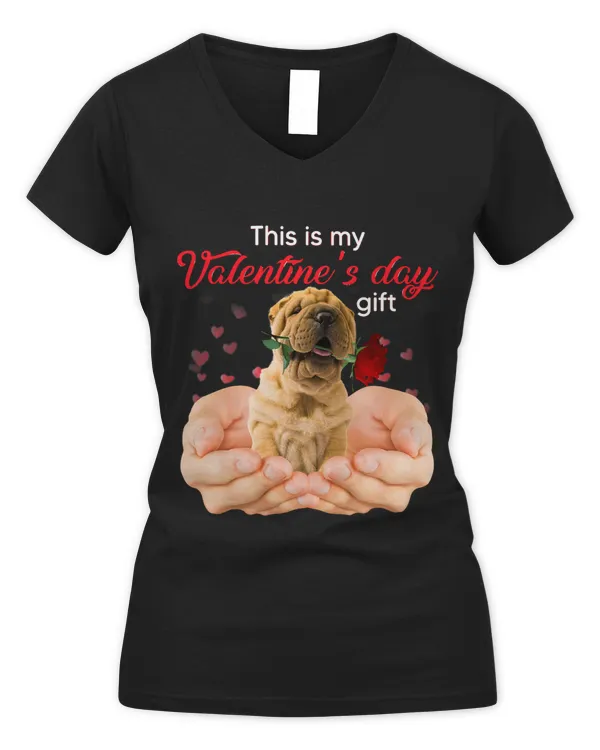 Women's V-Neck T-Shirt
