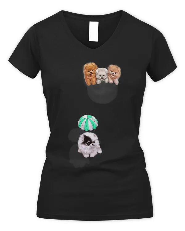Women's V-Neck T-Shirt