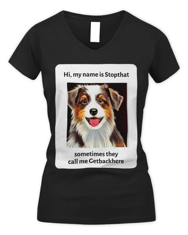 Women's V-Neck T-Shirt