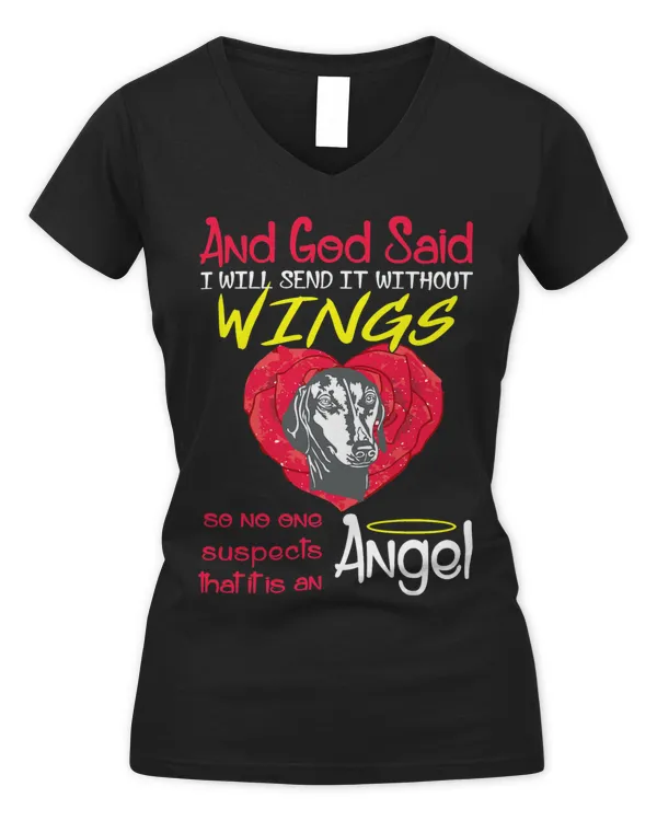 Women's V-Neck T-Shirt