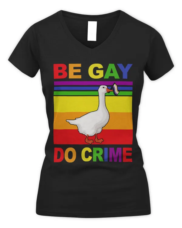 Women's V-Neck T-Shirt