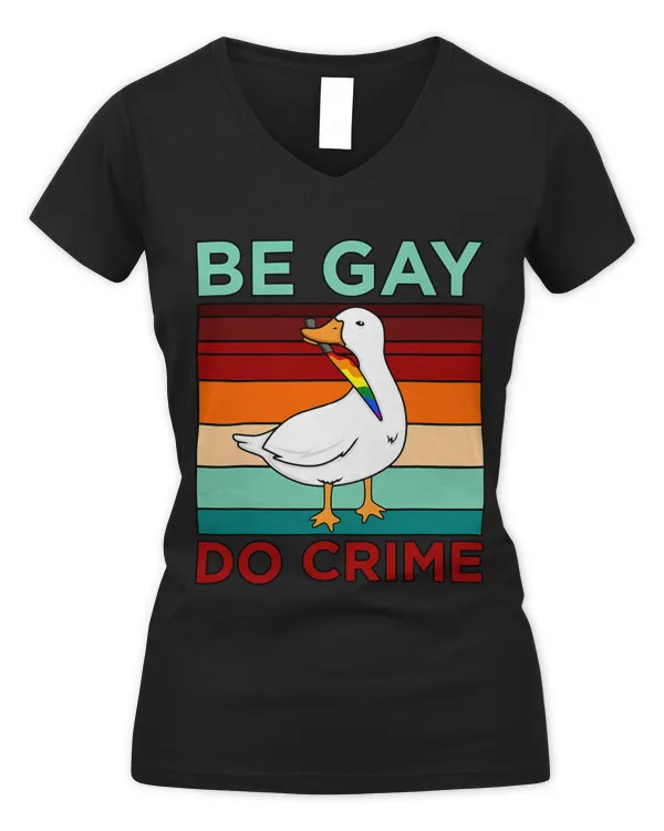 Women's V-Neck T-Shirt