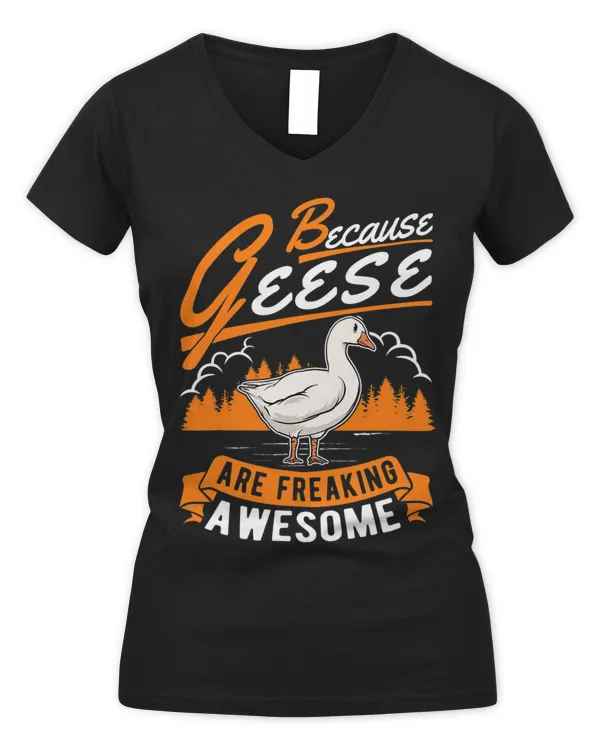 Women's V-Neck T-Shirt