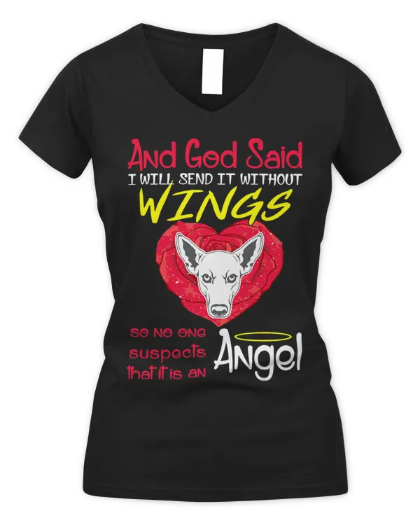 Women's V-Neck T-Shirt