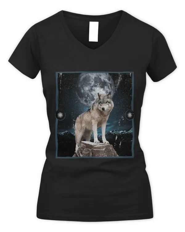 Women's V-Neck T-Shirt