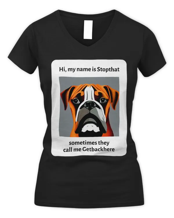Women's V-Neck T-Shirt