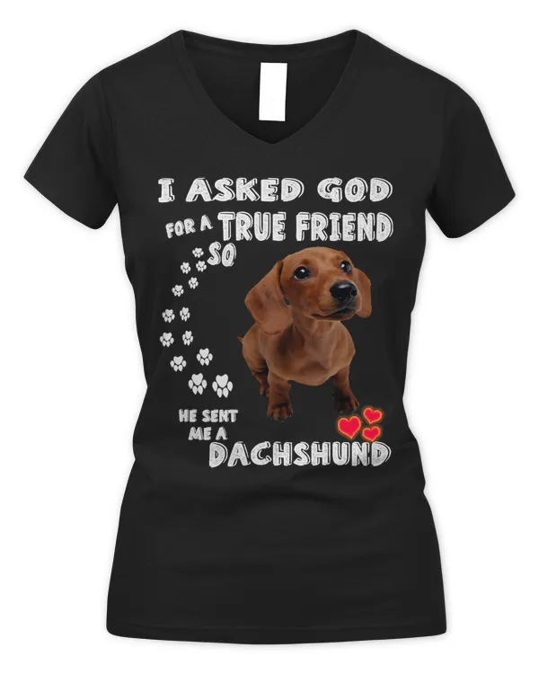 Women's V-Neck T-Shirt