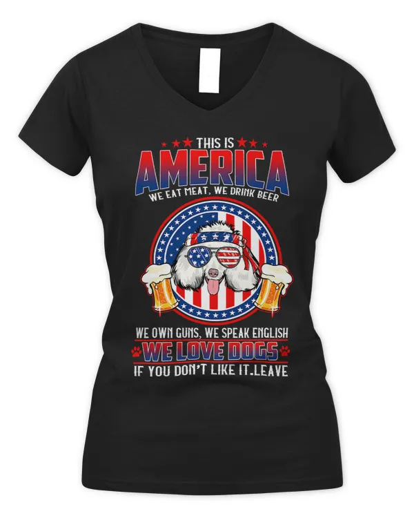 Women's V-Neck T-Shirt