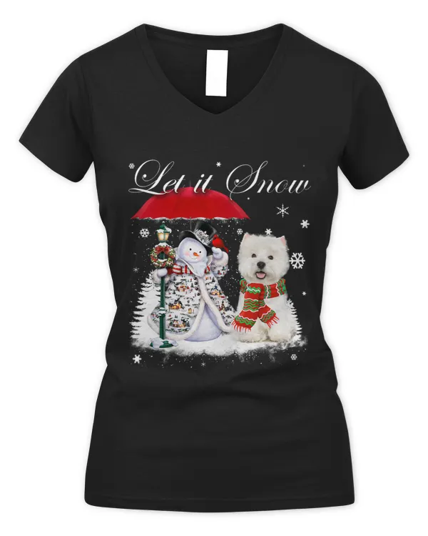 Women's V-Neck T-Shirt