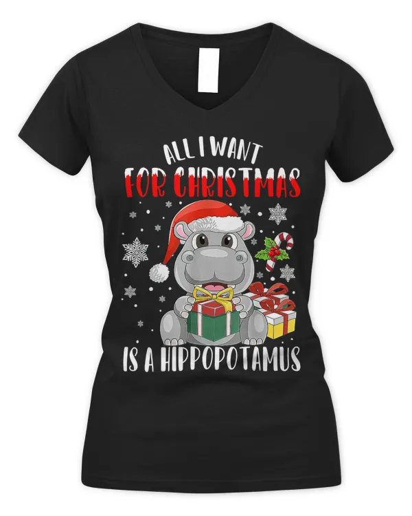 Women's V-Neck T-Shirt