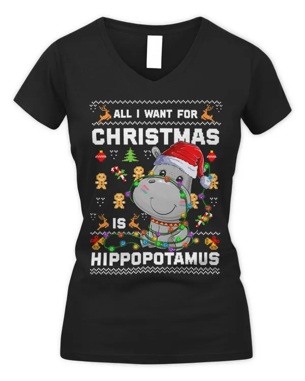 Women's V-Neck T-Shirt