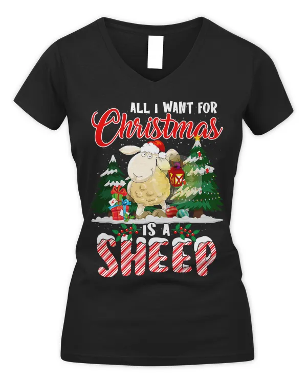 Women's V-Neck T-Shirt