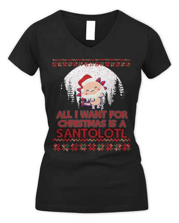 Women's V-Neck T-Shirt