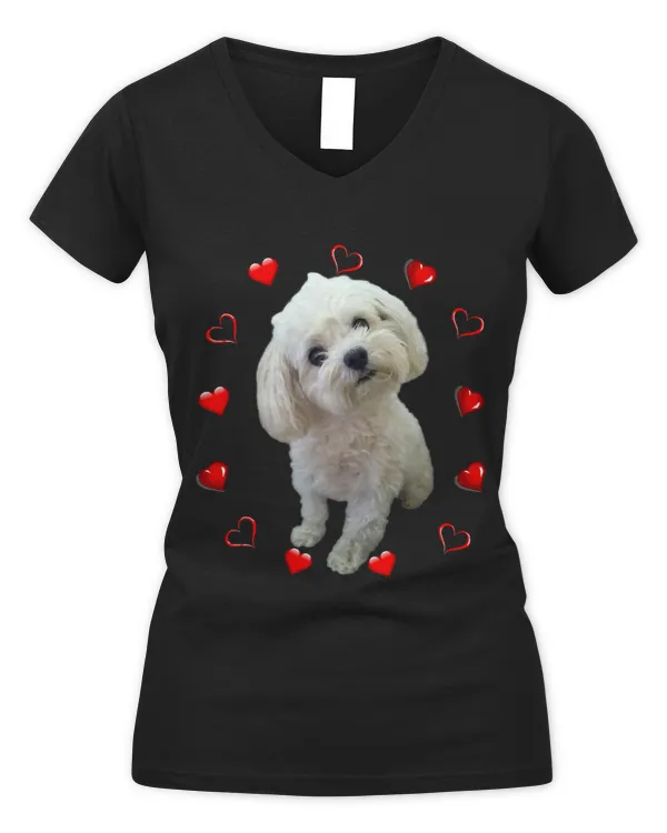 Women's V-Neck T-Shirt
