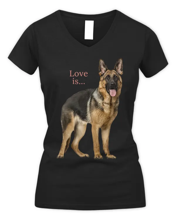 Women's V-Neck T-Shirt