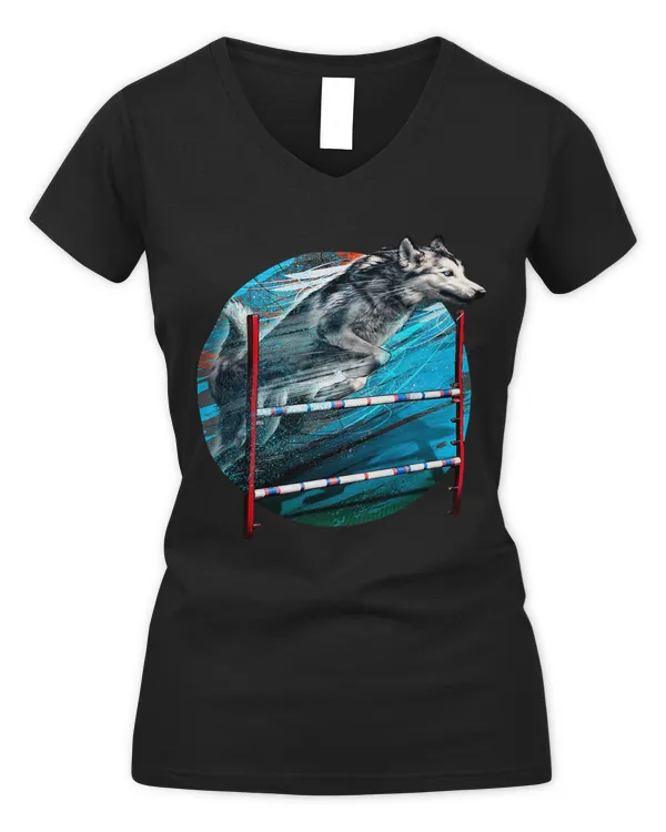 Women's V-Neck T-Shirt