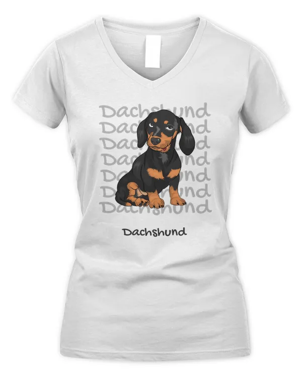 Women's V-Neck T-Shirt