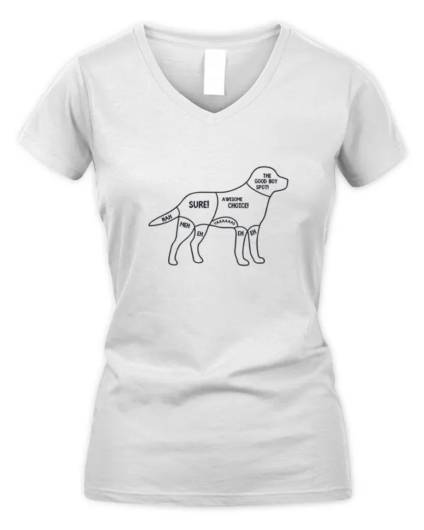 Women's V-Neck T-Shirt